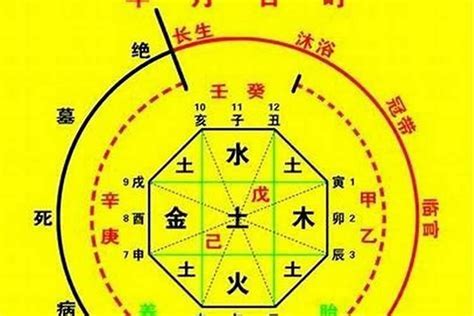 五行忌神|八字的喜用神与忌神详解